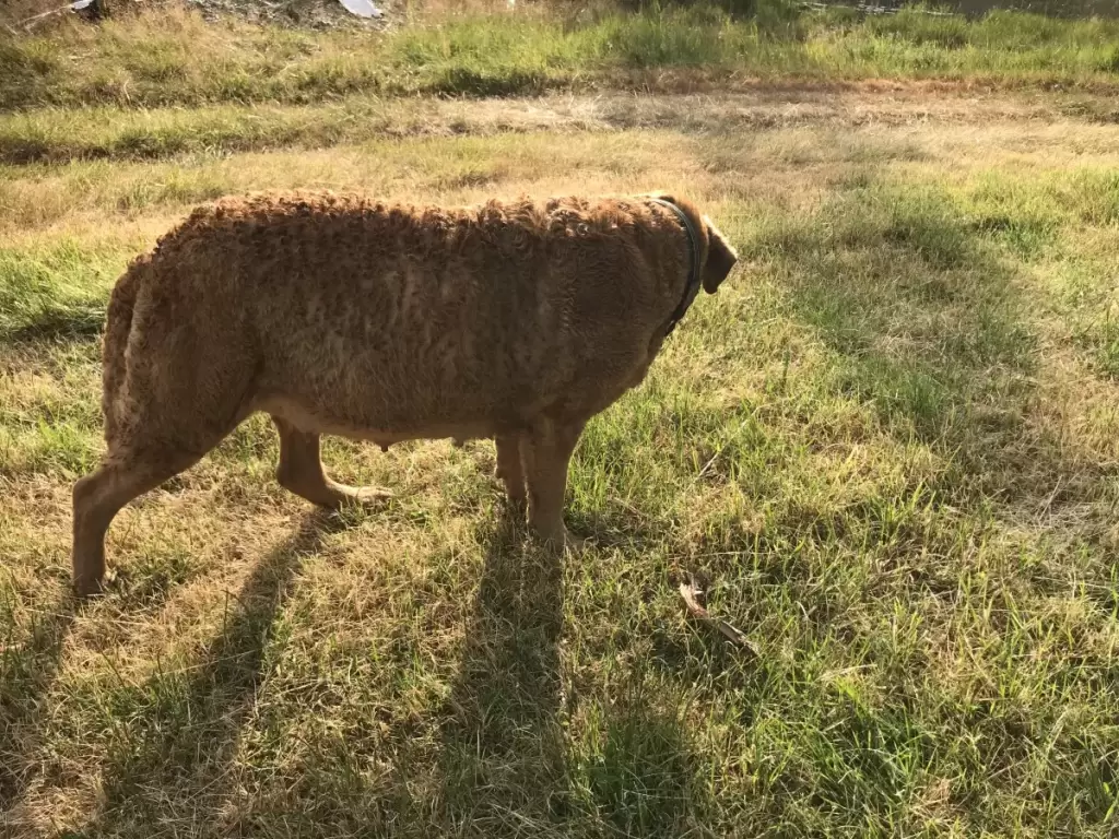 2018 07 18 19.07.37